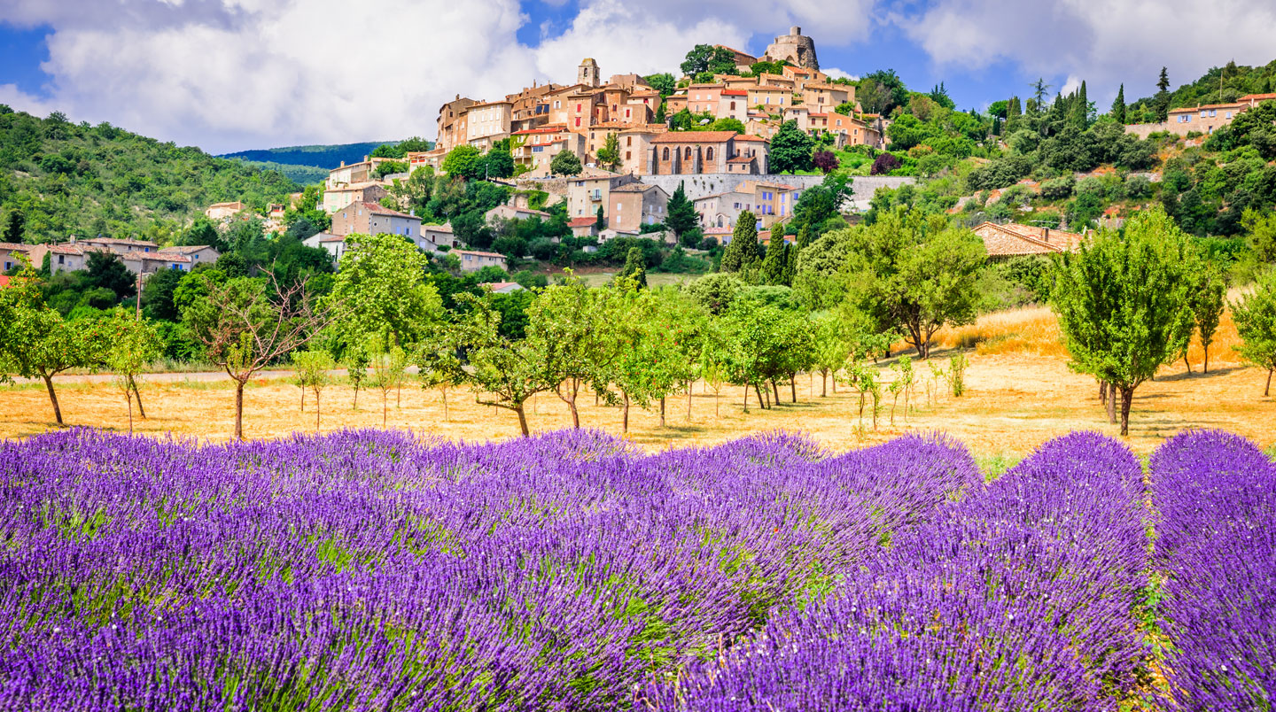 A wooden table set with croissants, coffee, and jam on a shaded terrace, with blurred lavender fields visible in the background
